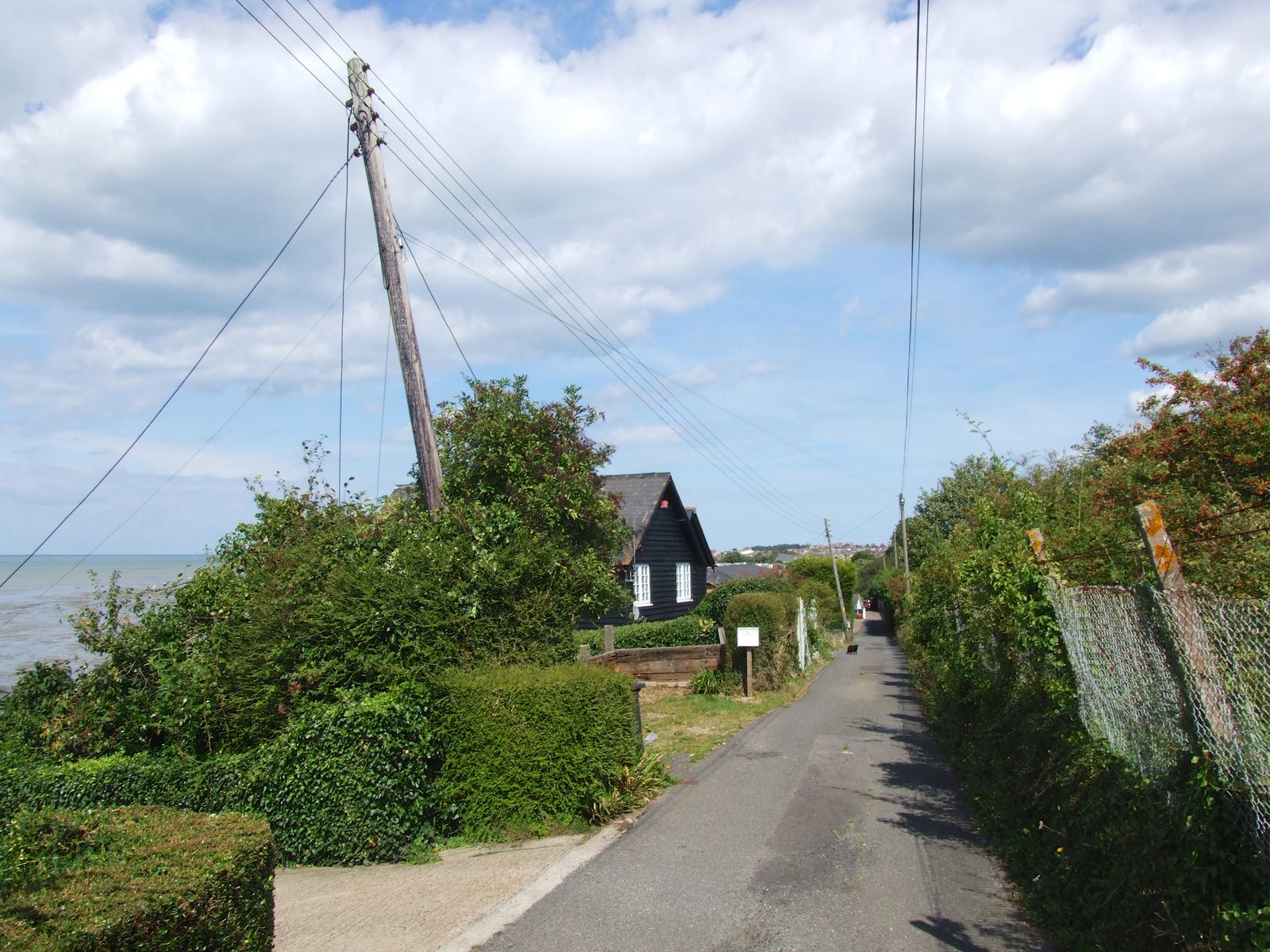 A lane lined with hedges leading past a black weatherboarded house towards the sea at Seasalter