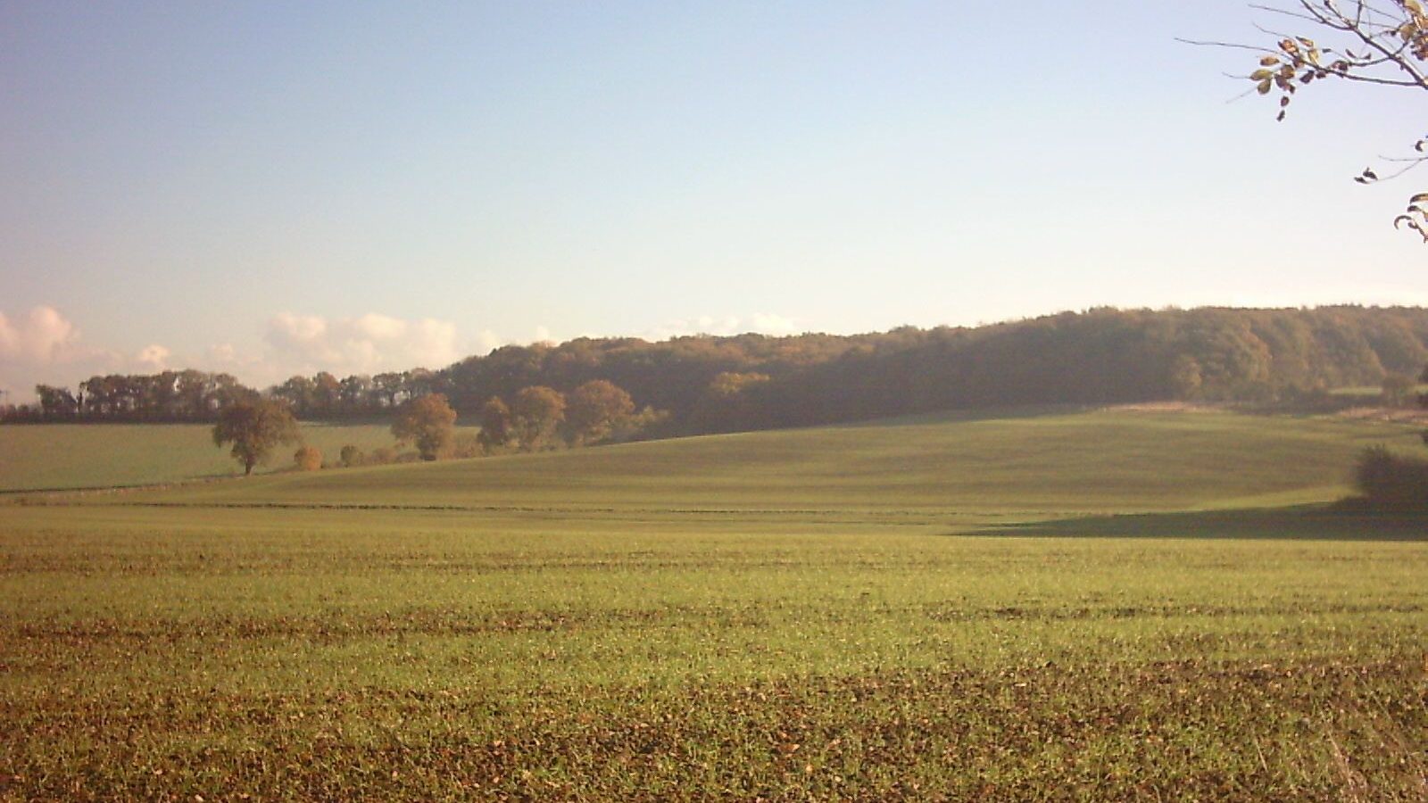 A country lane running between open fields in rolling Suffolk countryside